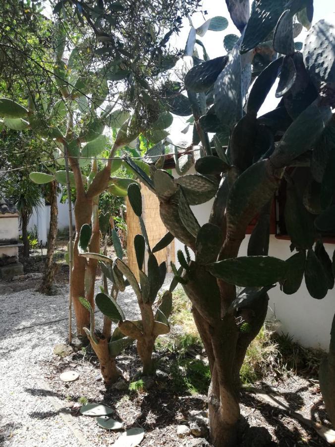 Verde & Mare Palmi Ngoại thất bức ảnh